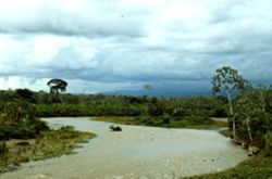 Upriver