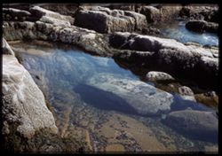 Rocks at Otter Point Mt. Desert Island  Maine coast