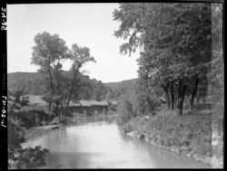 Upper Salt Creek, willows at side, horiz, 1947