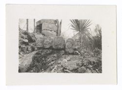 Item 0927. Taken at Teotihuacan. Four stone heads resting on the ground amid rocks and brush, with small stone structure in the background.