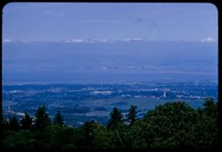 Toward Palo Alto and beyond from Skeggs Point on Skyline Drive (Hwy 5) Contax IIa
