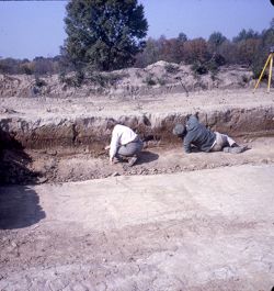 Angel Mounds Excavation