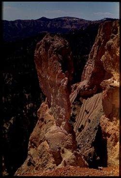 Bryce Canyon. Tall rock near Natural Bridge