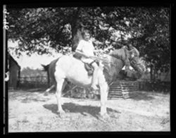 Bohan daughter on horse