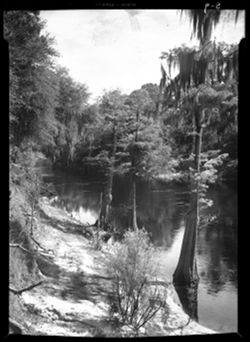 Suwannee River from Foster Memorial grounds