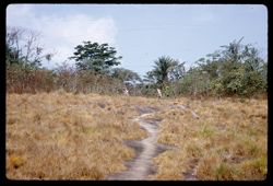 Peace Corps volunteer John Willson on trail to Betijima