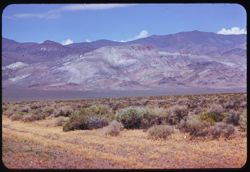 mountain north of Wadsworth, Nev. On road to Pyramid Lake