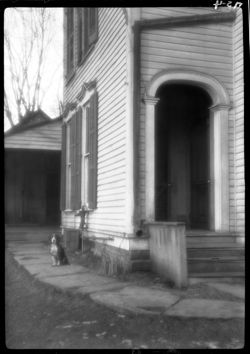 Side door, arched, at Dr. Turner's, Porter the dog showing