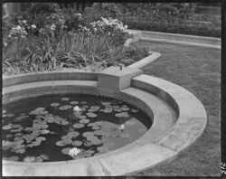 Columbus, Irwin's gardens, showing lily pond
