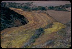 Fields below old California Hwy 1 between Pescadero and San Gregorio