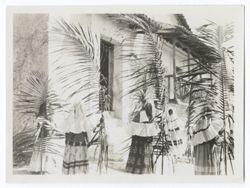 Item 0057. Five young Indigenous women wearing "sunflower" headdresses and carrying long palm branches standing in front of a house.