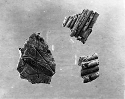 Mississippian Daub from Angel Mounds