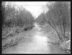 Clifty Creek, Bartholomew county, near intersec--9 and 46