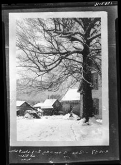 Snow scene, Clara Calvin home