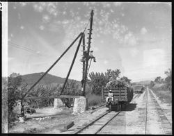 Loading sugar cane, horiz