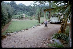 Whitten driveway and garden in the background