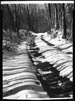 Road in winter to Elinor Stewart's cabin (same as 1952-6)