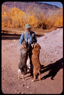 Jack W. Holley with two of his family - dogs.