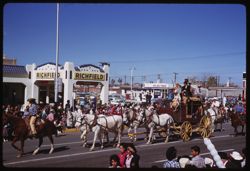 Stage coach with white horses Rodeo parade Tucson