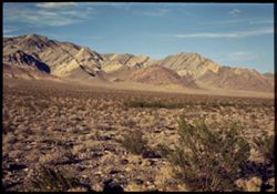 Nevada desert stretching toward Yucca Mtns.