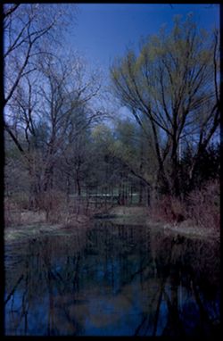 Arboretum Lake Reflections