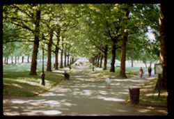 Green Park shaded walks