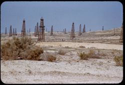 Oil Derricks in Elk Hills north of Taft. Kern Co. - Calif.