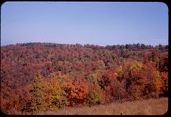 Ozark mountain side in color near Eureka Springs Arkansas