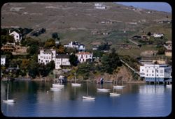 Sail boats in harbor of Tiburon from Belvedere