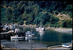 Fishing-boat harbor in Noyo river near its mouth south of Fort Bragg Mendocino county