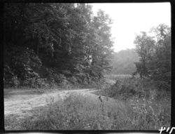 Dividing of roads--one to Gardner's, other to Nashville, on pike