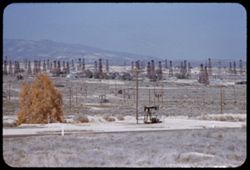 Forest of derricks in Midway oil field north of Fellows, Kern County