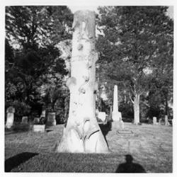 Tree Trunk Each cut limb a family member erected 1917