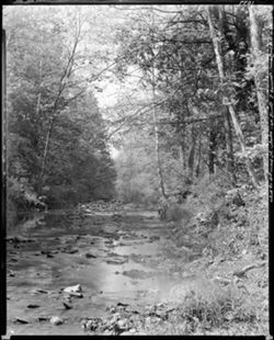 Greasy Creek at Howard Reed ford (orig. neg.)