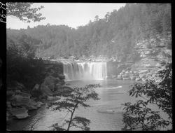 Horizontal view of Cumberland Falls, with foliage foreground