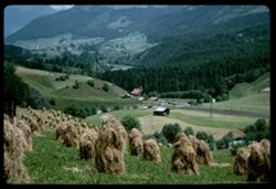 Hay- on west slope of Stubai Tal near Fulpmes