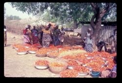 Tomato Buyers at Navrongo