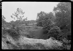 Landscape near Old straw shed, n.e. of Martinsville, with Dr. Winters