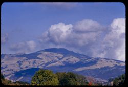 Mount Diablo from Danville