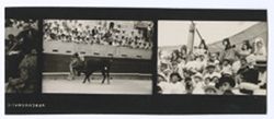 Item 0130.  Various scenes at the bullfight. 2 1/3 prints.