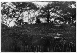 Men roofing house