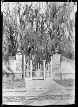 Gate view of St. Helena Church, Beaufort