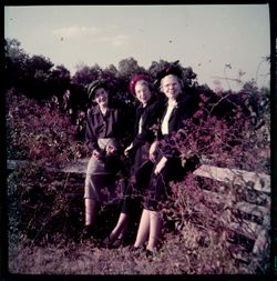 Women sitting on fence