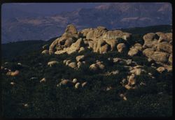 Rocks atop ridge near summit of San Marcos Pass