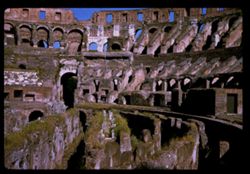 The Colosseum ROME