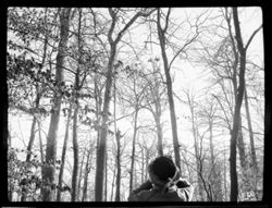 Miss Elliott gazing at heron nests