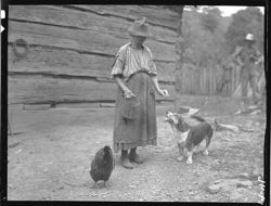 Series of shots at Grandma Barnes'--Mrs. Shulz, turkeys