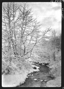 Creek back of Connell's (Frazier's card 1956)