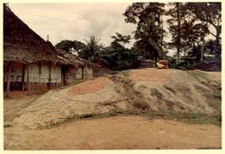 Large mud house roofed with thatch