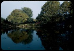 Lake Marmo- Arboretum West.
